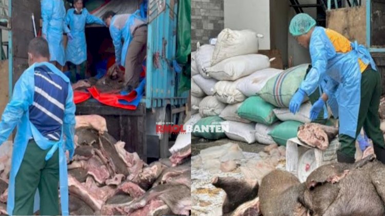Petugas saat mengamankan daging babi hutan di Pelabuhan Merak, Kota Cilegon. (Dok. RMOL)